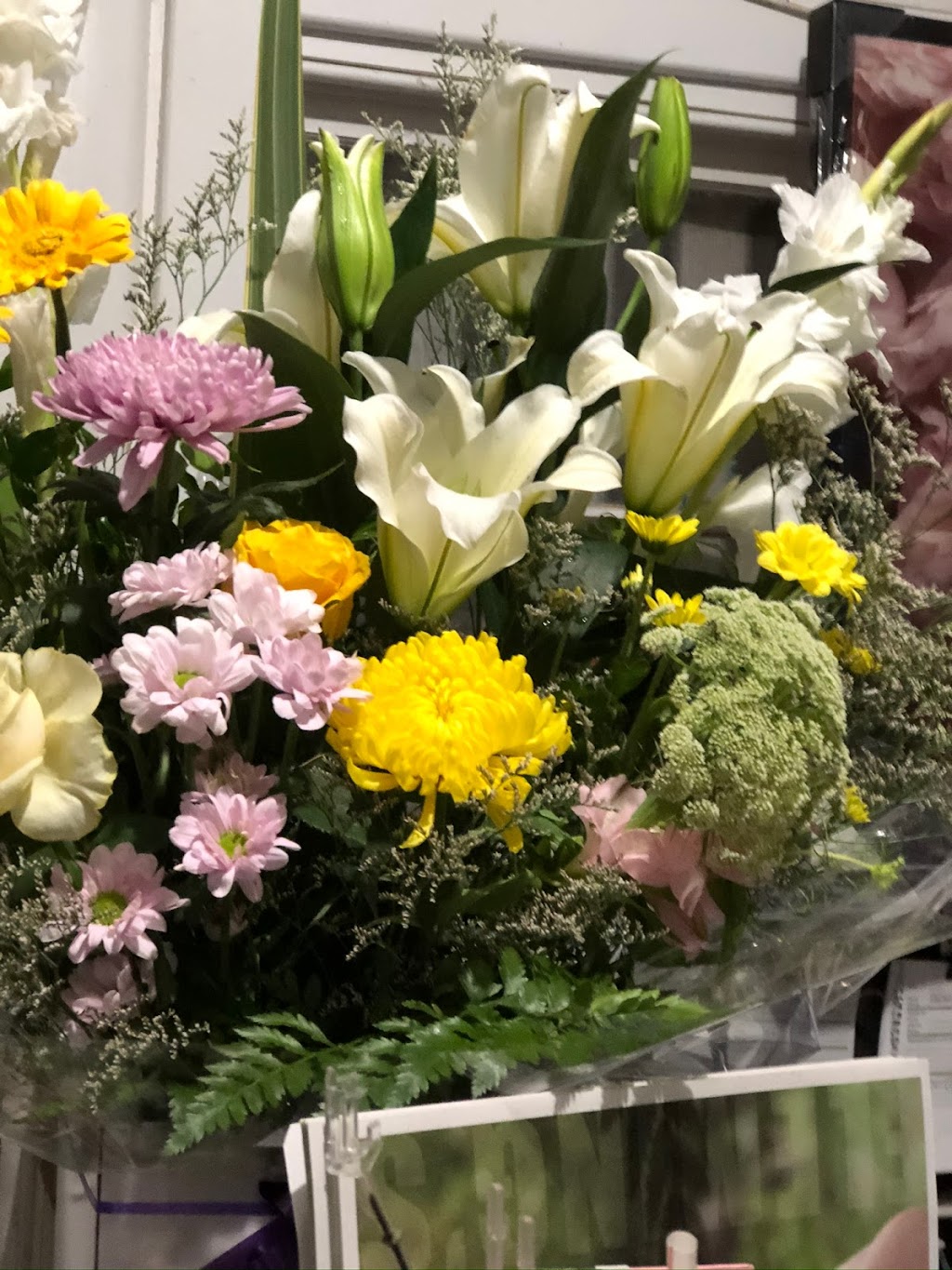 Nursery on Mertin | 45 Mertin St, Bourke NSW 2840, Australia | Phone: 0427 723 230