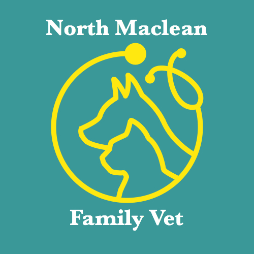 North Maclean Family Vet | veterinary care | Shop 3B/4656-4664 Mount Lindesay Hwy, North MacLean QLD 4280, Australia | 0732970803 OR +61 7 3297 0803