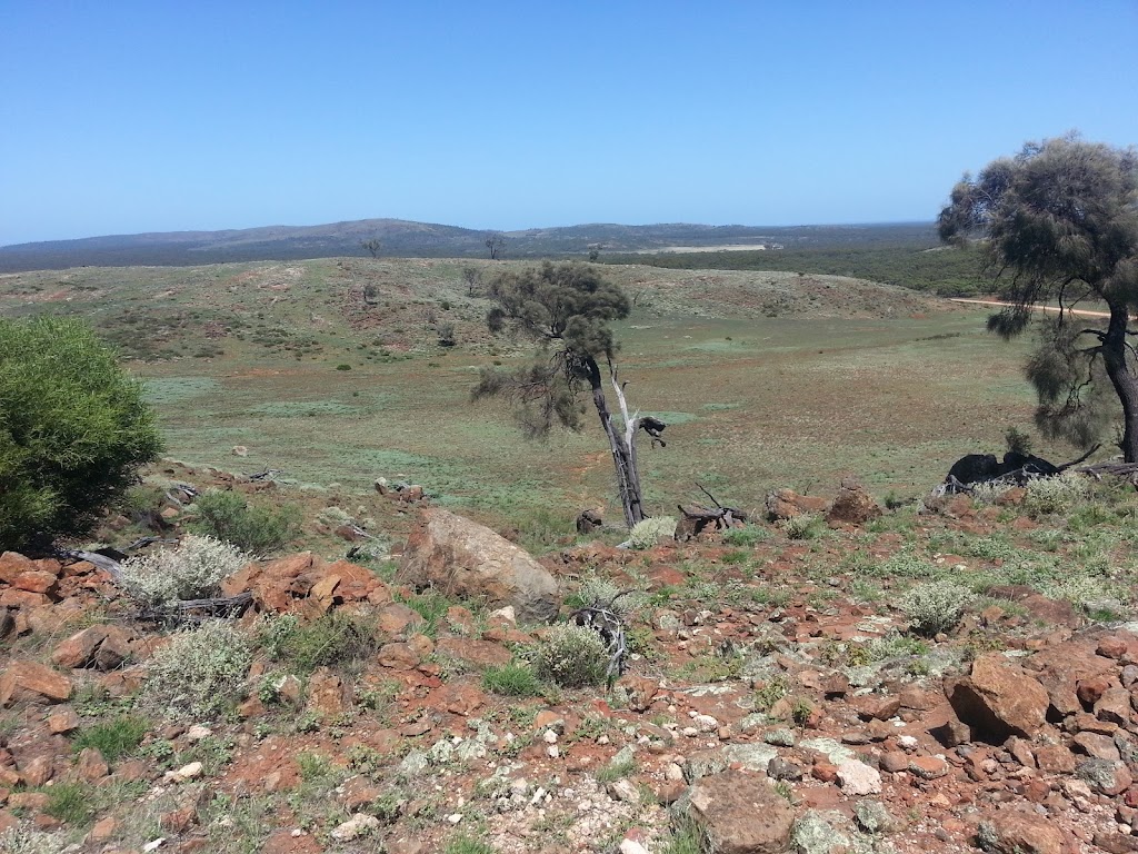 The Great Western Woodlands | 117 Roberts St, Norseman WA 6443, Australia | Phone: 0400 908 834