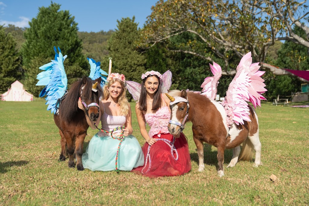 Adorable Pony Parties | 682 Calderwood Rd, Calderwood NSW 2527, Australia | Phone: 0490 371 709