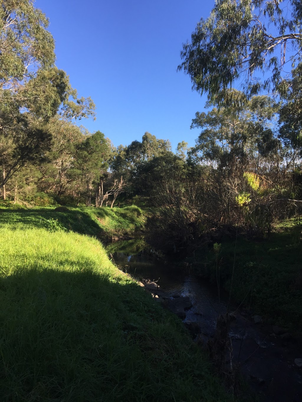 Koomba Park | Victoria, Australia