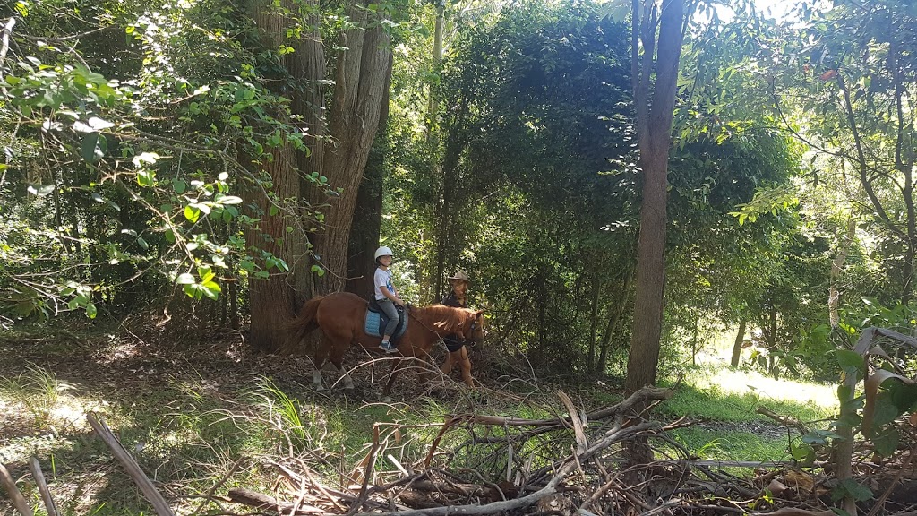 The Outlook Riding Academy | Gate 2/256 Scenic Hwy, Terrigal NSW 2260, Australia | Phone: 0427 189 567