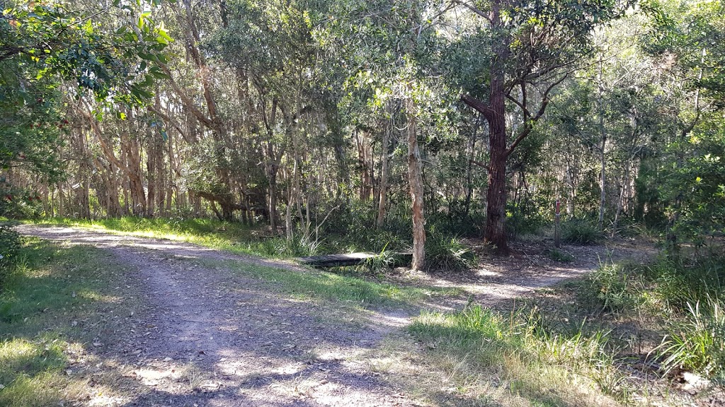 Grants beach coastal walk | park | The Parade, North Haven NSW 2443, Australia