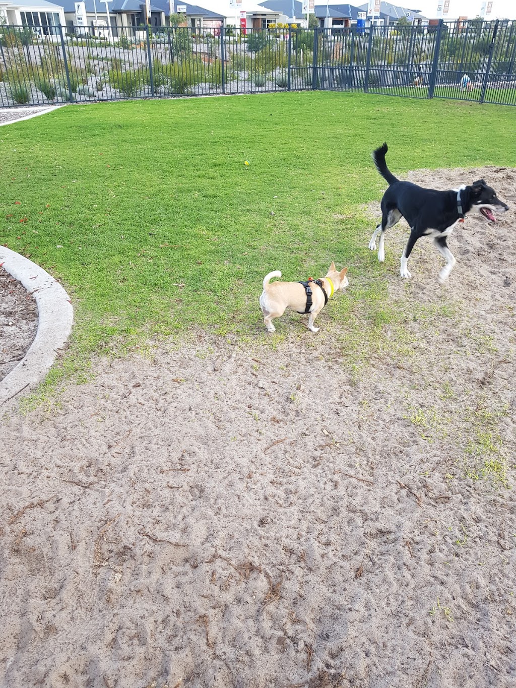 Sienna Wood Dog Park | park | Hilbert WA 6112, Australia