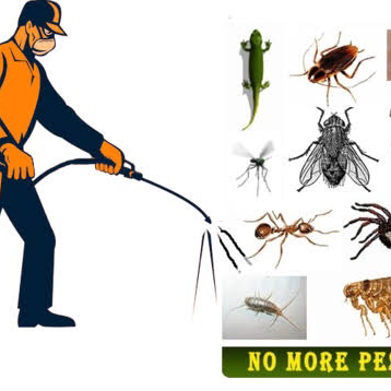 Pest control $89 | 50 Maranoa St, Auburn NSW 2144, Australia | Phone: 0422 570 459