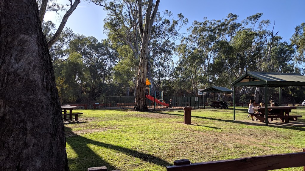 Echuca Moama parkrun | health | Lions Park, Campaspe Esp, Ogilvie Ave, Echuca VIC 3564, Australia