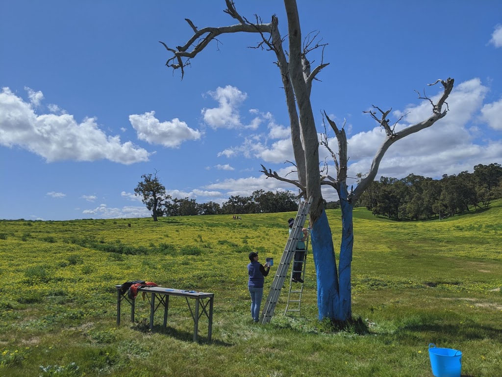 Jacaranda Hill Farm | 192 Morrell Rd, Fairbridge WA 6208, Australia | Phone: 0419 482 687