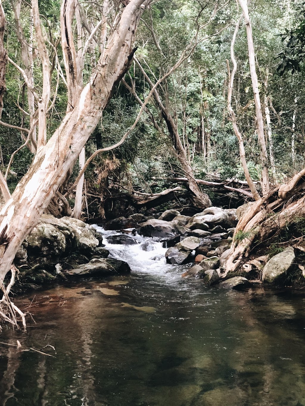 Davies Creek National Park | park | Davies Creek Rd, Mareeba QLD 4880, Australia | 137468 OR +61 137468