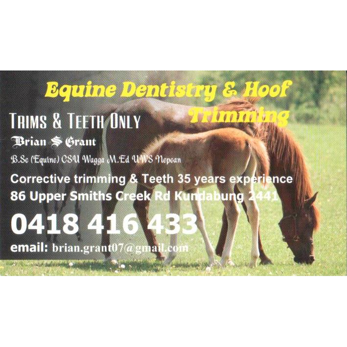 Brian S Grant Equine Dentistry & Farrier Service |  | 86 Upper Smiths Creek Rd, Kundabung NSW 2441, Australia | 0418416433 OR +61 418 416 433
