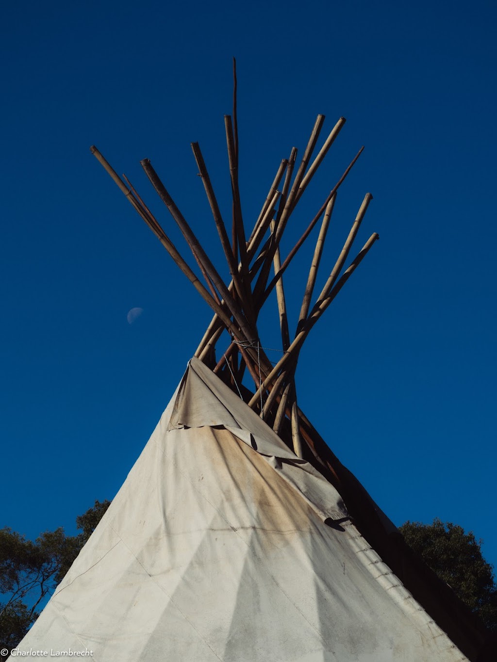 Peaceful Growing Collective | 9 Huonbrook Rd, Wilsons Creek NSW 2482, Australia | Phone: 0423 705 228