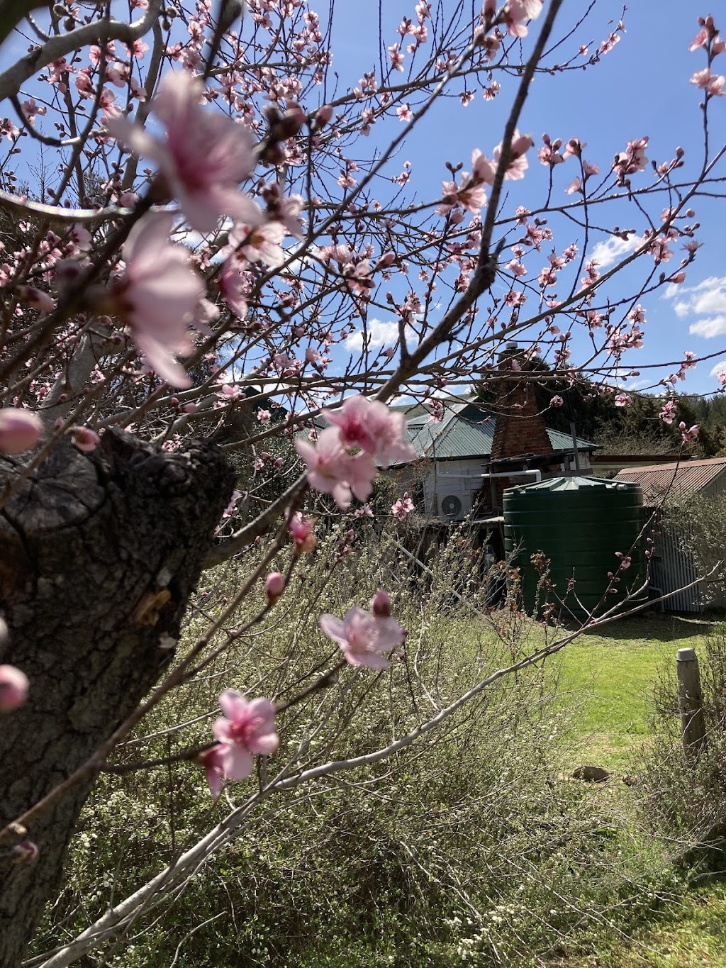 Lavender Cottage Sofala | 141 Upper Turon Rd, Sofala NSW 2795, Australia | Phone: 0418 168 783