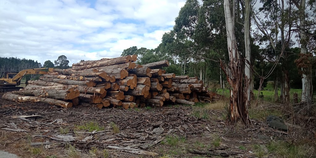 Lone Pine - Post Rail Fencing | 40 Derhams Hill Rd, Maryvale VIC 3840, Australia | Phone: 0422 459 627