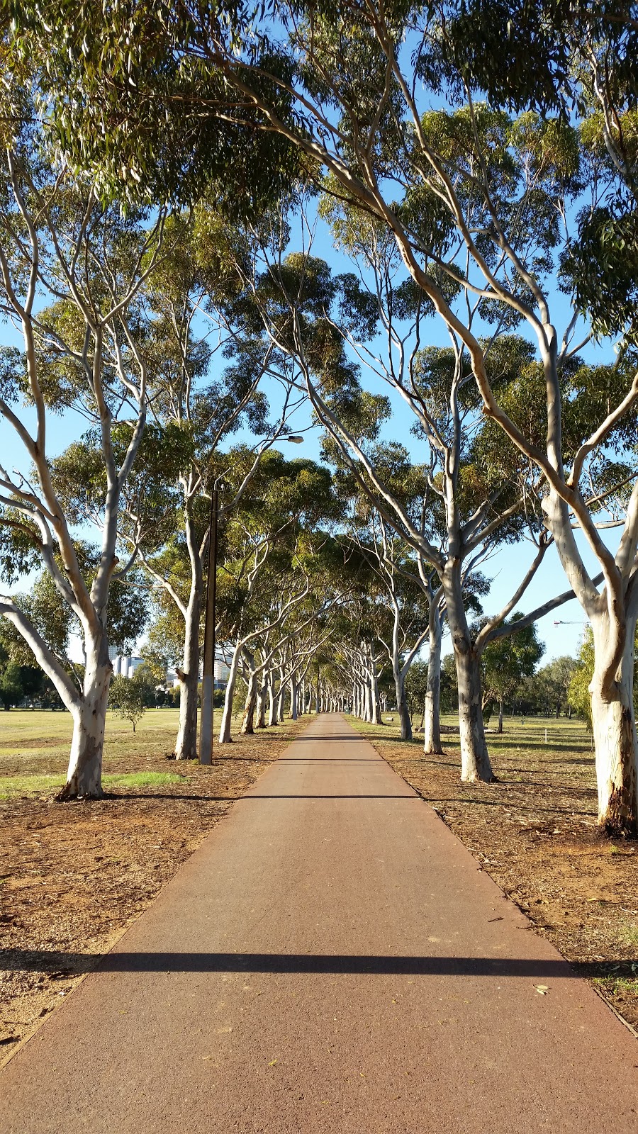 Princess Elizabeth Playground | park | South Tce, Adelaide SA 5000, Australia