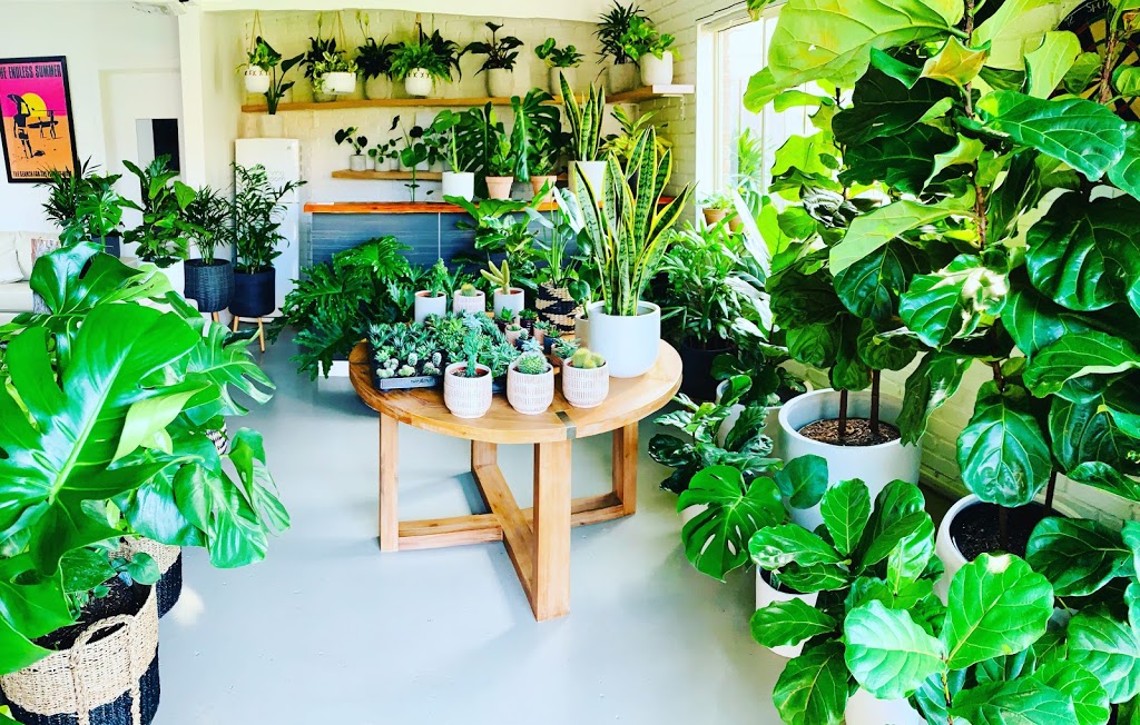 The Living Room Pots & Plants |  | 33 Bass Meadows Blvd, St Andrews Beach VIC 3941, Australia | 0402490282 OR +61 402 490 282
