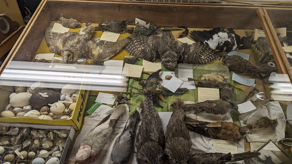 Ceduna School House Museum National Trust | 2 Park Terrace, Ceduna SA 5690, Australia | Phone: (08) 8625 3599