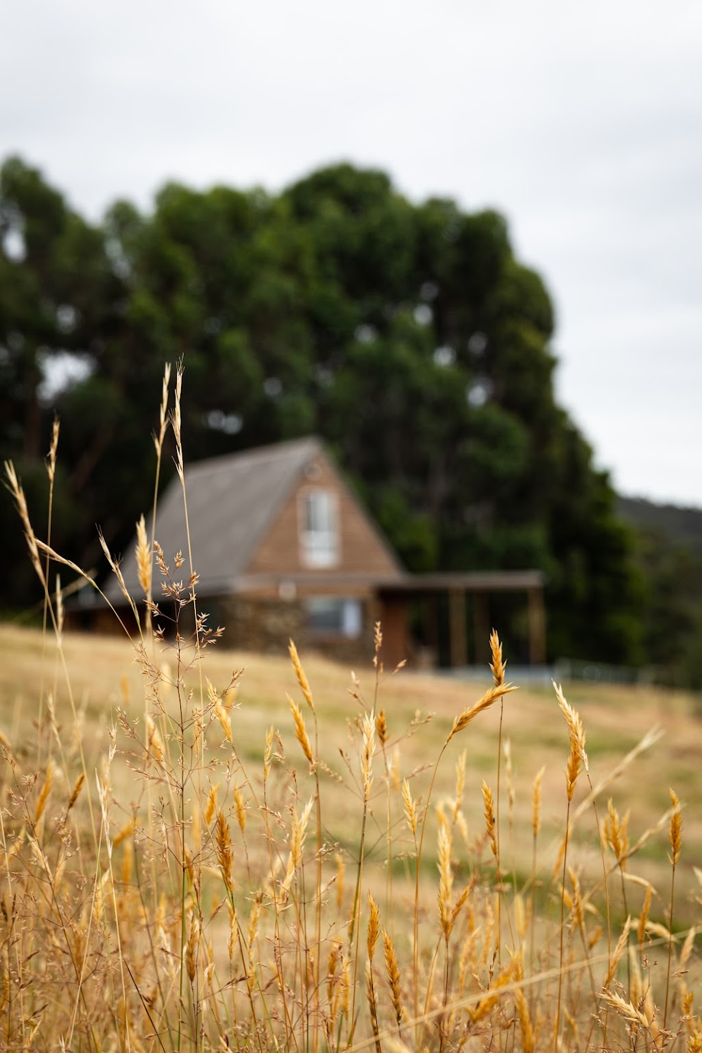 Arrow Brick House | 29 Gwen Rd, Port Arthur TAS 7182, Australia | Phone: 0476 050 615