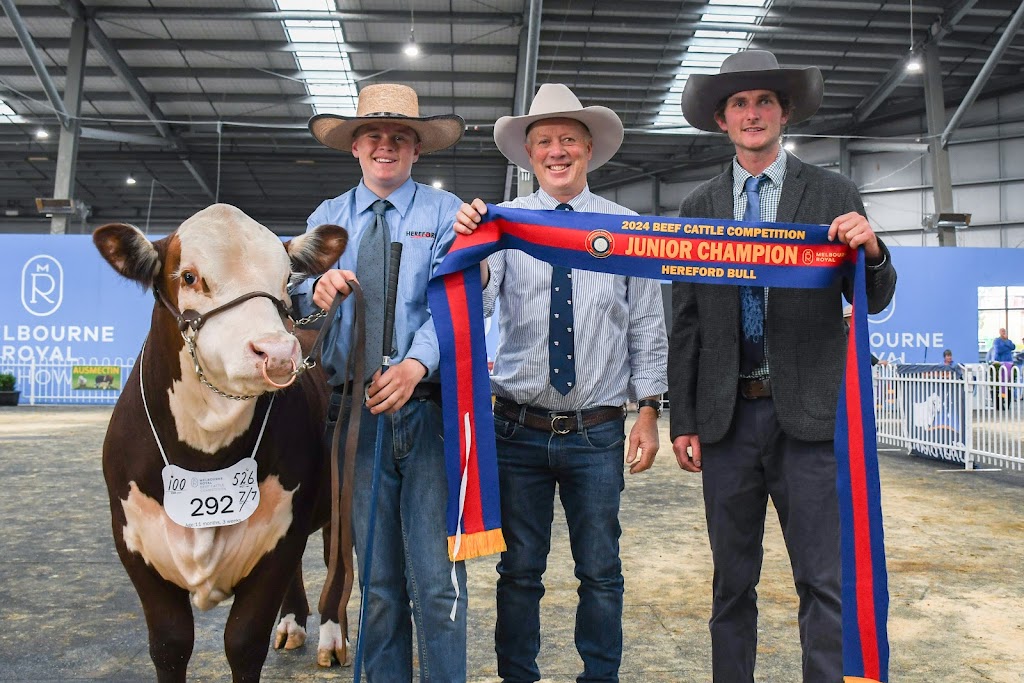 Wanrua Poll Herefords | 169 Websters Rd, Newry VIC 3859, Australia | Phone: 0408 451 392