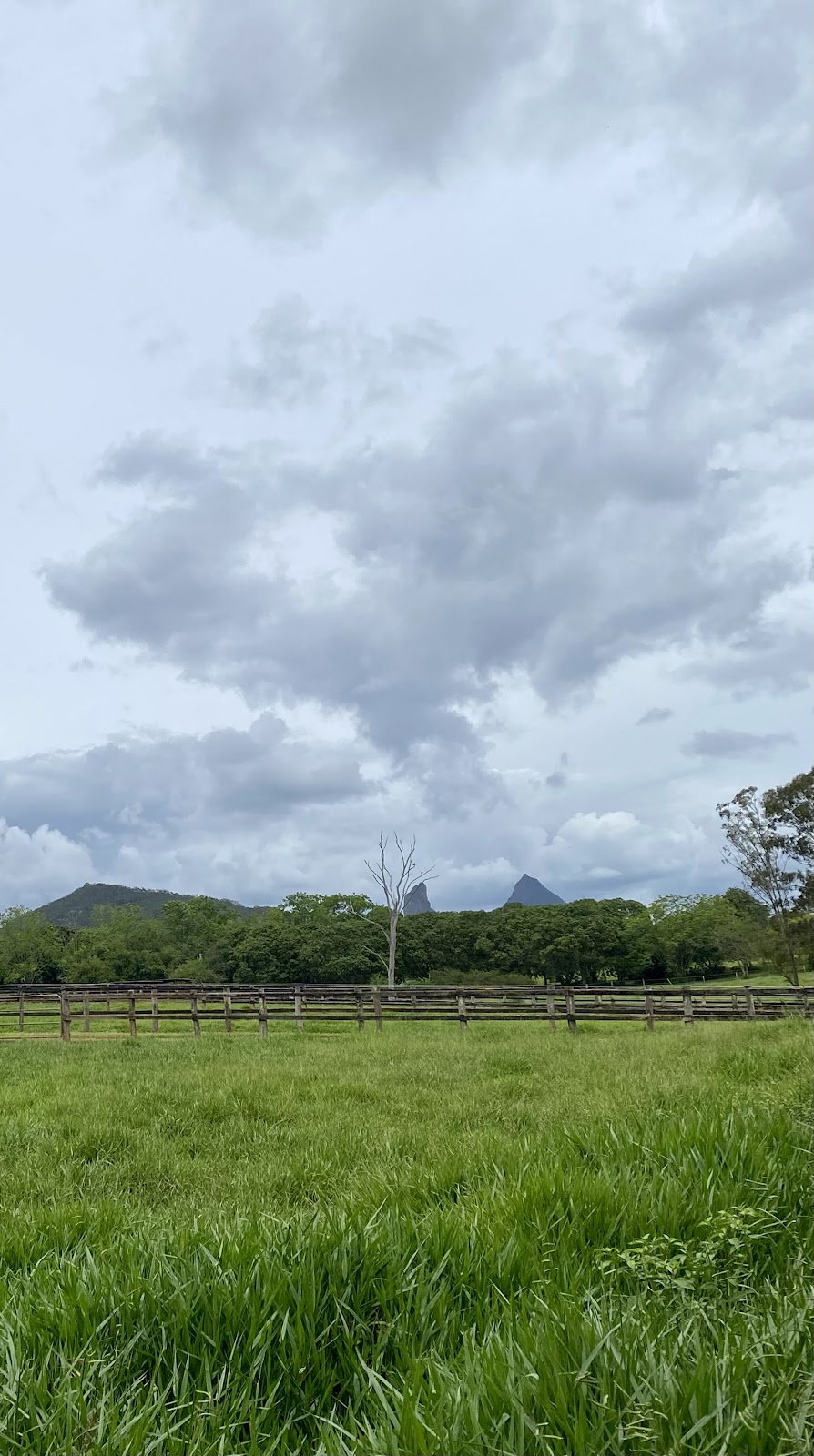 Embrace Farm | 1047 Steve Irwin Wy, Glass House Mountains QLD 4518, Australia | Phone: 0423 467 733