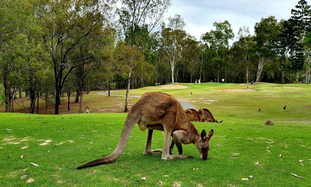 Gailes Golf Club | 299 Wilruna St, Wacol QLD 4076, Australia | Phone: (07) 3271 2333