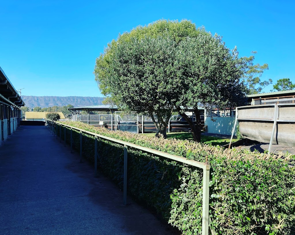 CAJHA Lodge | 985 Kerry Rd, Kerry QLD 4285, Australia | Phone: 0484 379 511