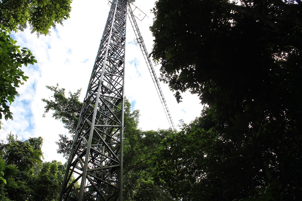 Daintree Rainforest Observatory, James Cook University | Cape Tribulation QLD 4873, Australia | Phone: (07) 4098 0005