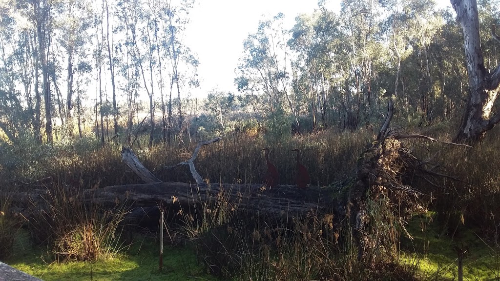 Reed Beds Bird Hide, Murray Valley National Park | Mathoura NSW 2710, Australia