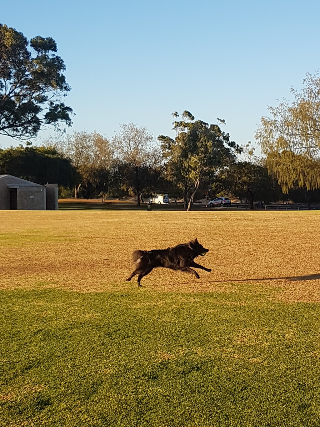 Beldon Park | park | Beldon WA 6027, Australia