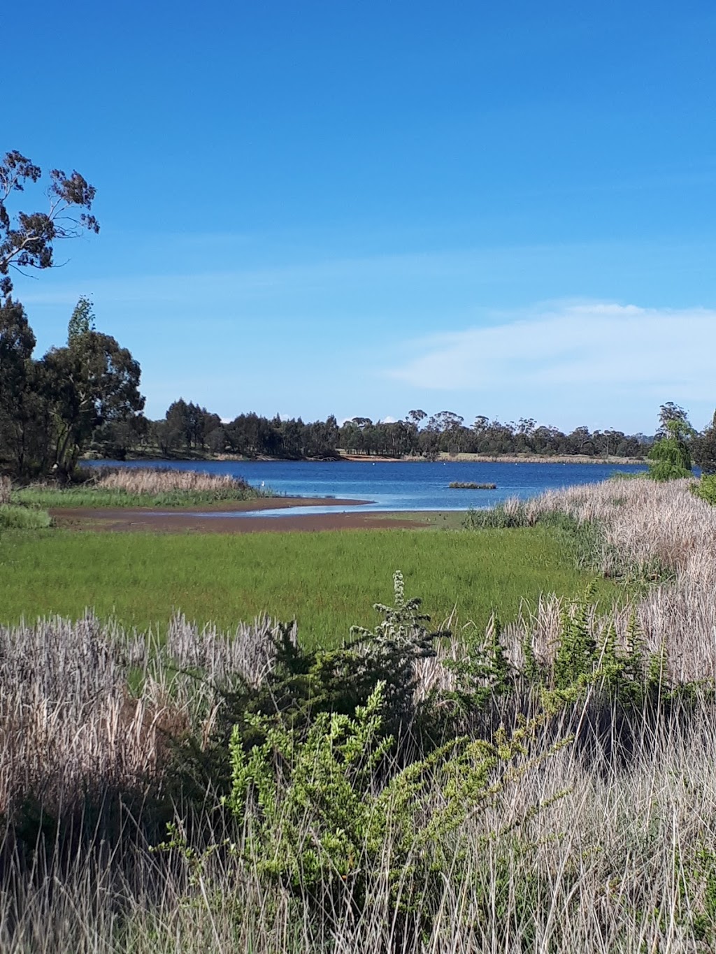 Gosling Creek Reserve | park | 28 Forest Rd, Bloomfield NSW 2800, Australia