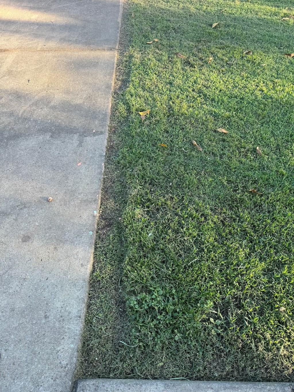 Backyard Farms Mackay | 11 Katey Cres, Mirani QLD 4754, Australia | Phone: 0418 171 000