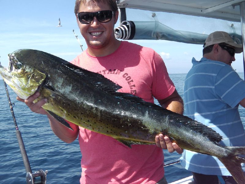 Best Gold Coast Fishing Charters | 1 Muriel Henchman Dr, Main Beach QLD 4217, Australia | Phone: 0427 026 519