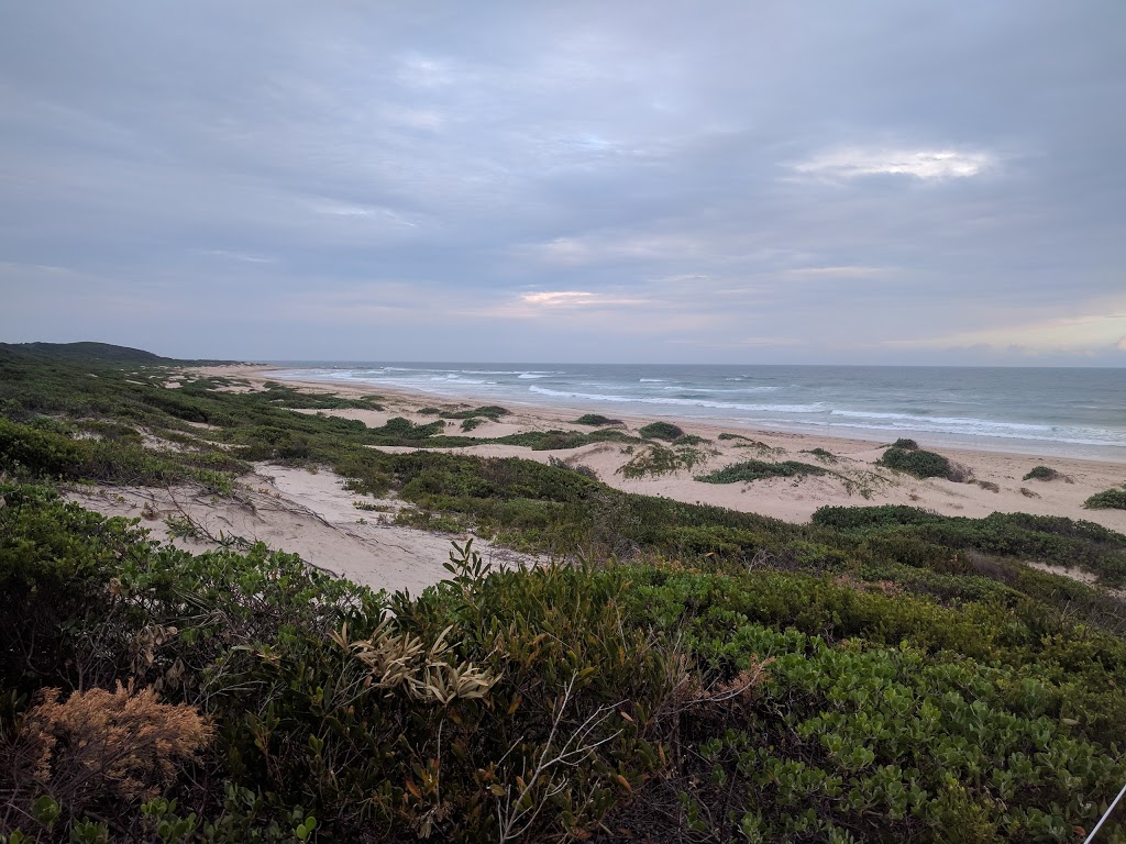Pelicans Beach | Magenta NSW 2261, Australia