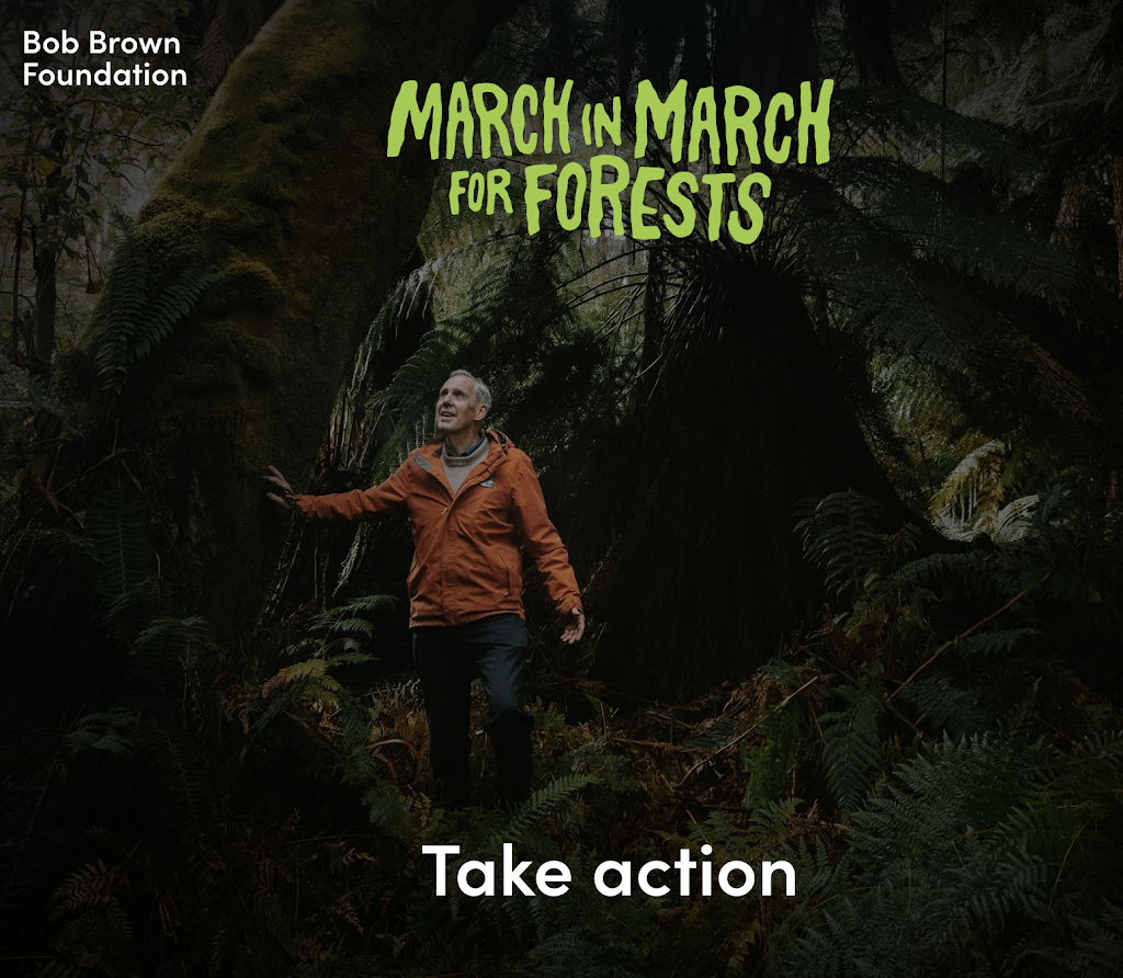 Otways for Takayna | 36 Ocean Park Dr, Marengo VIC 3233, Australia | Phone: 0419 244 412