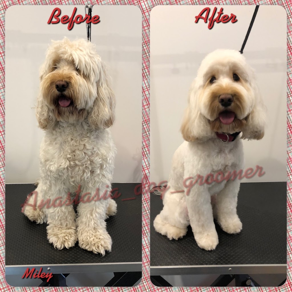 Anastasia’s dog grooming | 11 Hilda Rd, Baulkham Hills NSW 2153, Australia | Phone: 0404 974 407