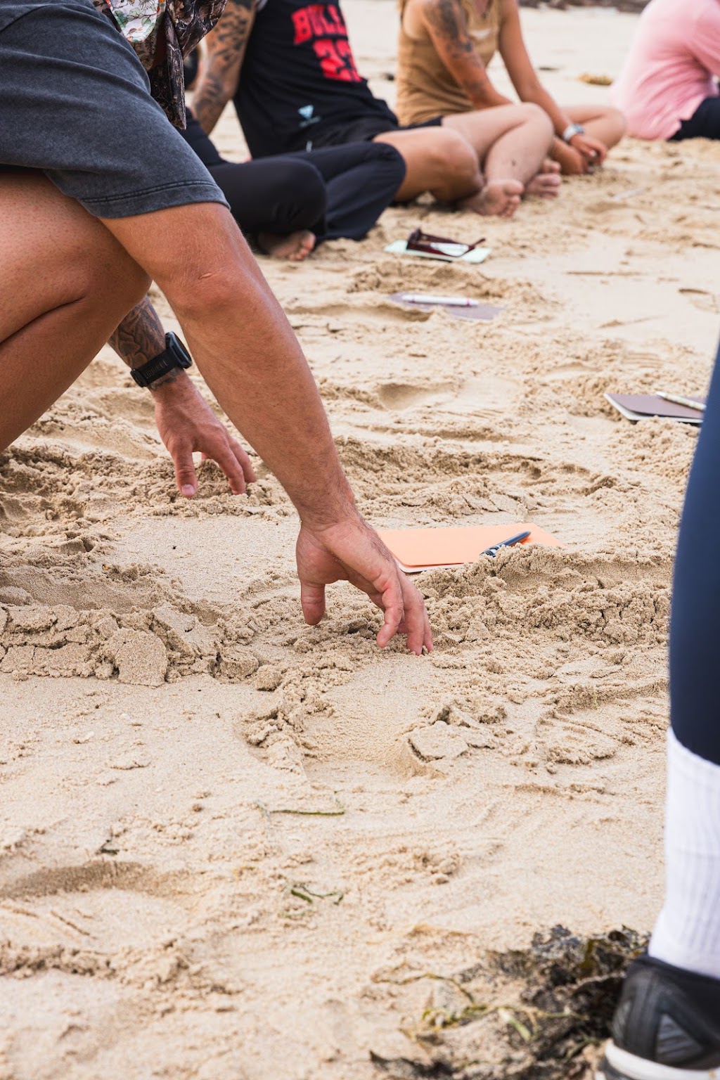 Wild Light Experiences | Shoal Bay Rd, Nelson Bay NSW 2315, Australia | Phone: 0411 697 202