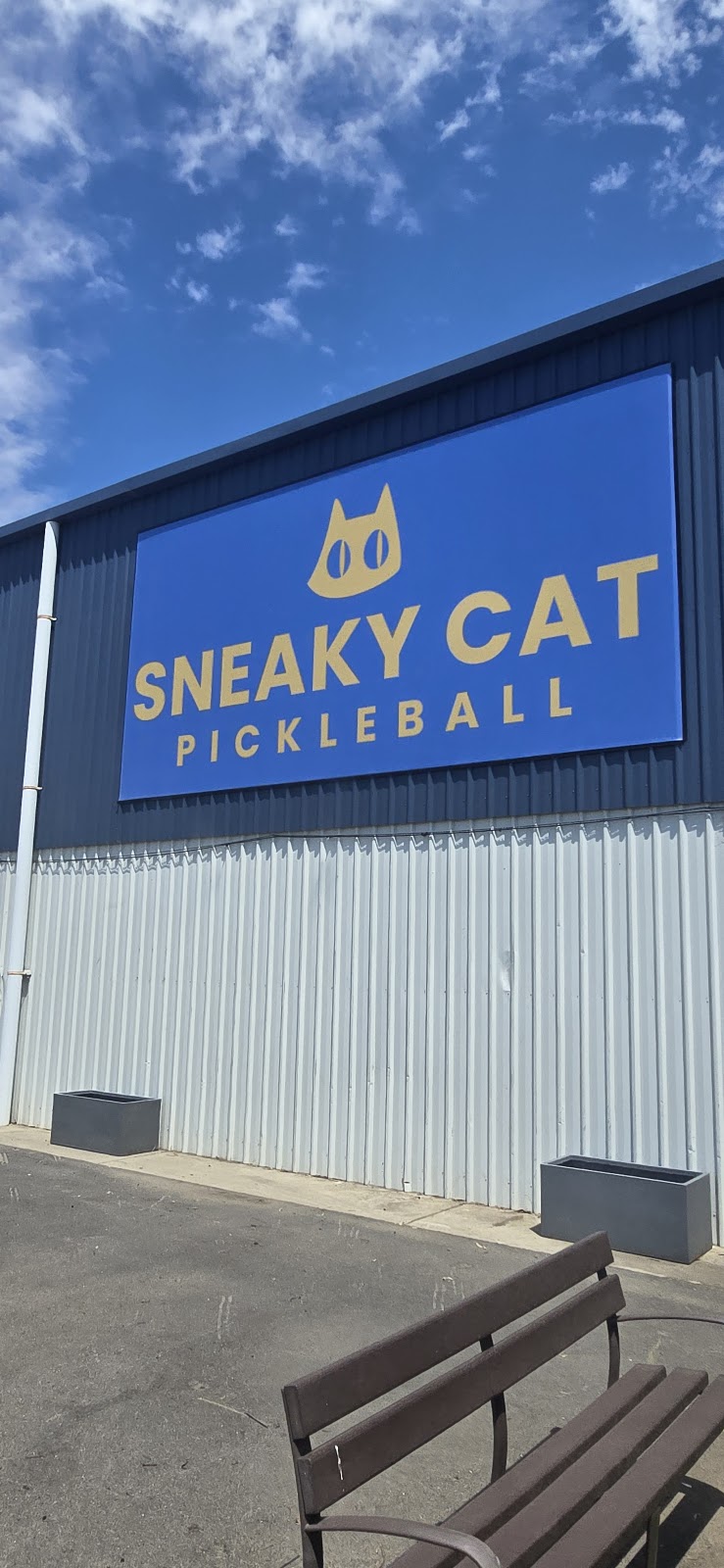 Sneaky Cat Pickleball | 3/58-98 Bennu Cct, Thurgoona NSW 2640, Australia | Phone: (02) 6057 9334