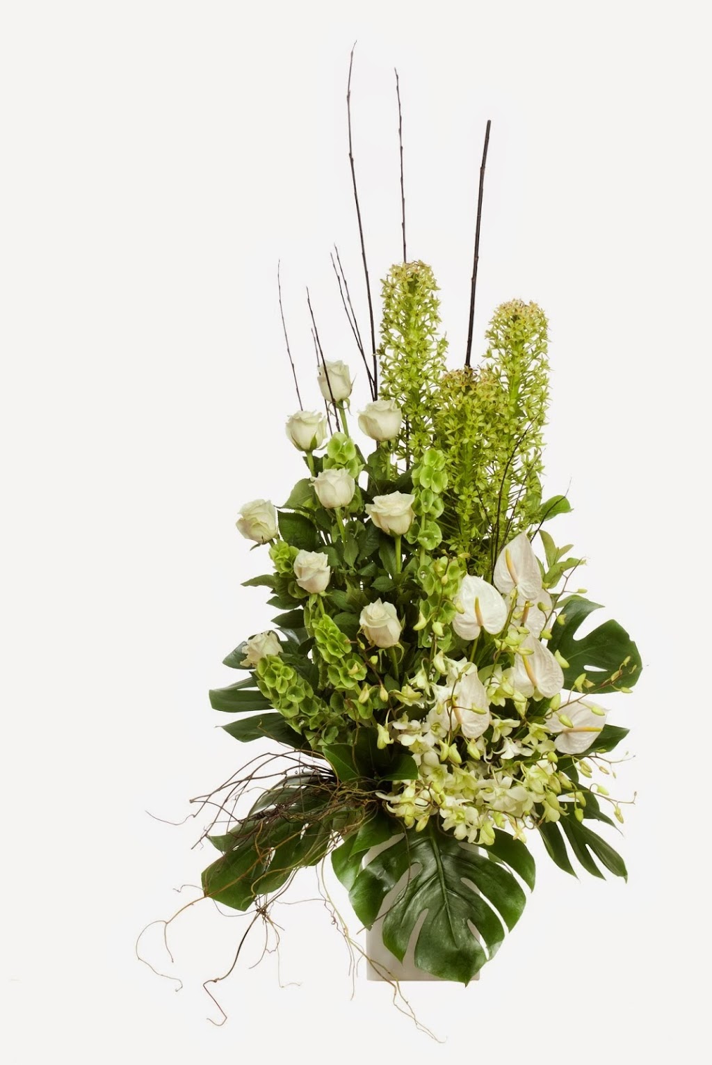 Mayfair Florists | florist | 242 Unley Rd, Unley SA 5061, Australia | 0882724833 OR +61 8 8272 4833