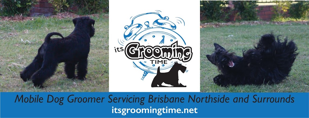 Its Grooming Time | 2794 DAguilar Hwy, Woodford QLD 4514, Australia | Phone: 0402 510 250