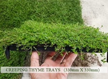 Just Grass | store | 12 Singleton Ave, Thornton NSW 2322, Australia | 0410663135 OR +61 410 663 135