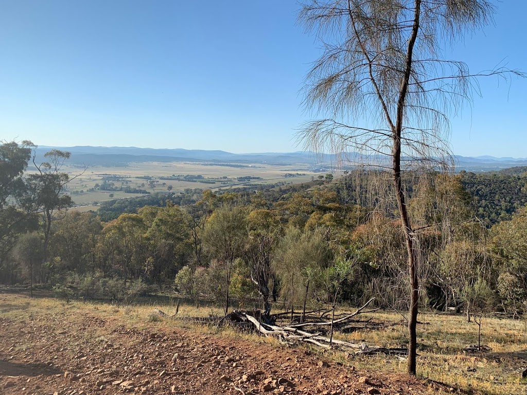 Mount Majura Nature Reserve | Australian Capital Territory, Australia