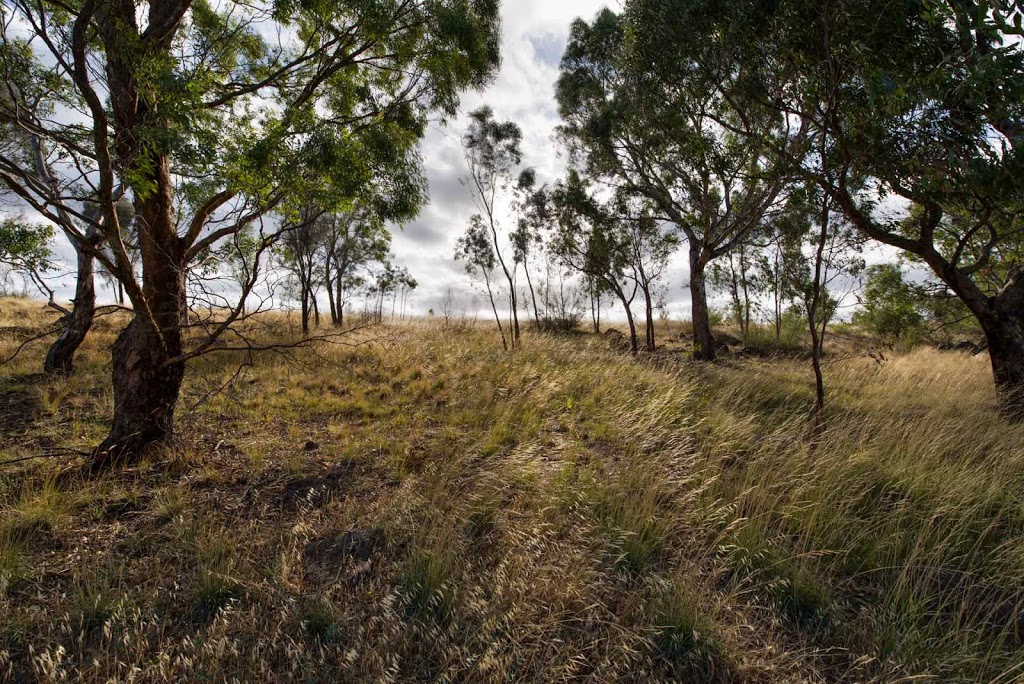 Mark Carniato Photography | 2/39 Lanigan St, Fawkner VIC 3060, Australia | Phone: 0403 711 525