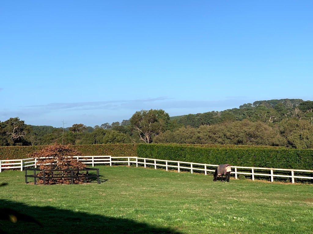 Red Hill Equestrian | 356 Shands Rd, Main Ridge VIC 3928, Australia | Phone: 0439 688 654