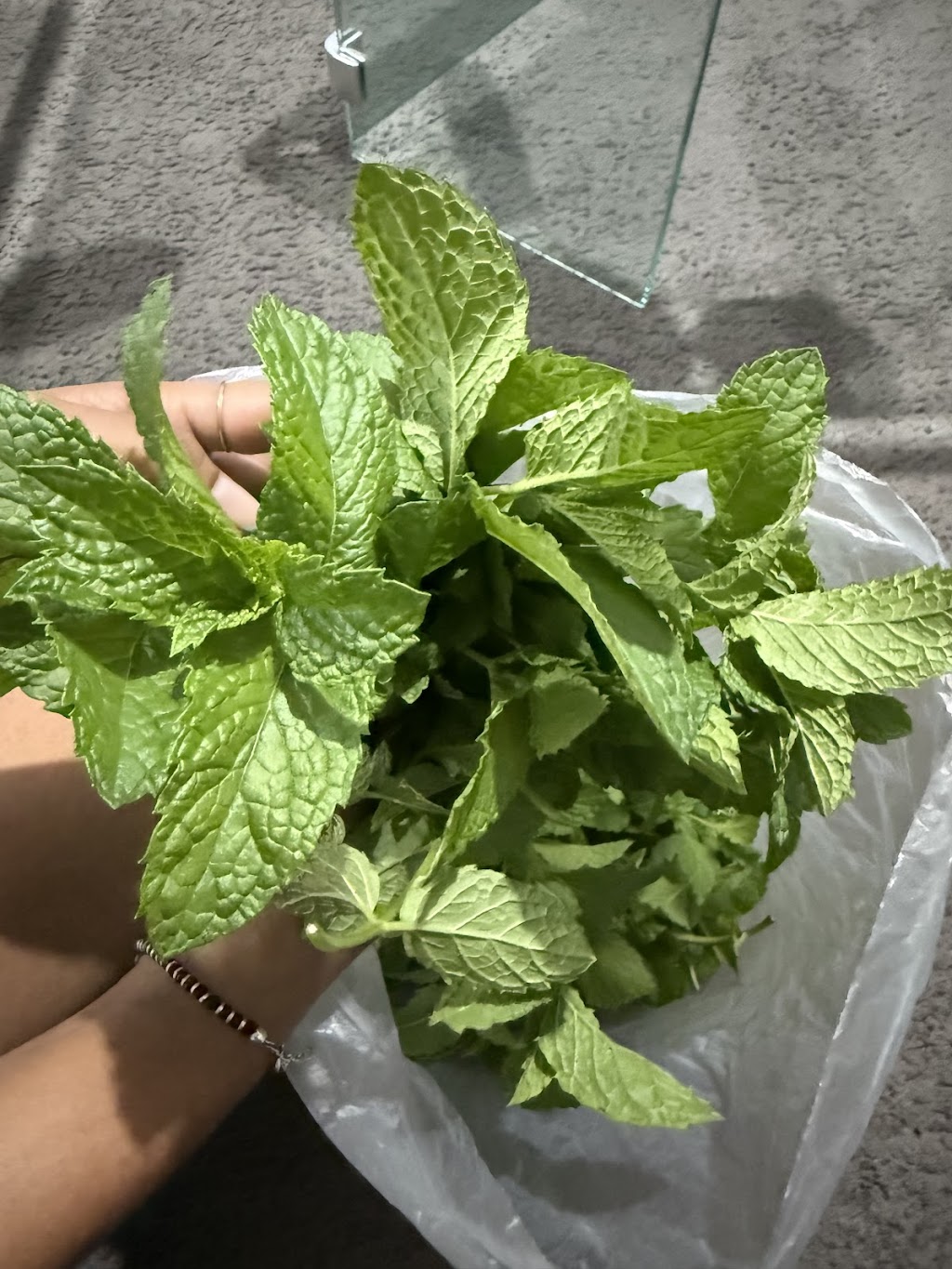 AkSh Plants | 1 Custard Way, Manor Lakes VIC 3024, Australia | Phone: 0414 410 227