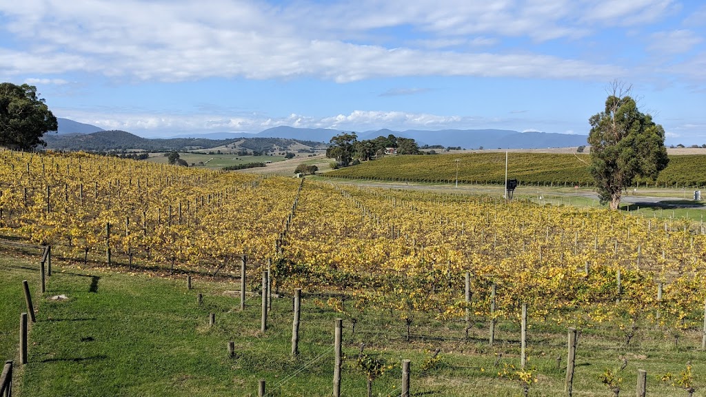 Yarra Valley Wine Tasting Tours | point of interest | 7 Hall St, Yarraville VIC 3013, Australia | 0396500888 OR +61 3 9650 0888