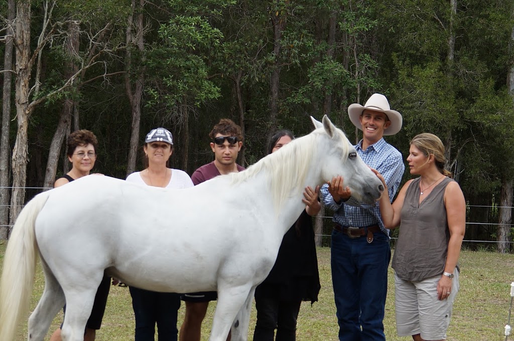 Skerrett Equine | 505 Crossmaglen Rd, Bonville NSW 2450, Australia | Phone: 0413 072 922