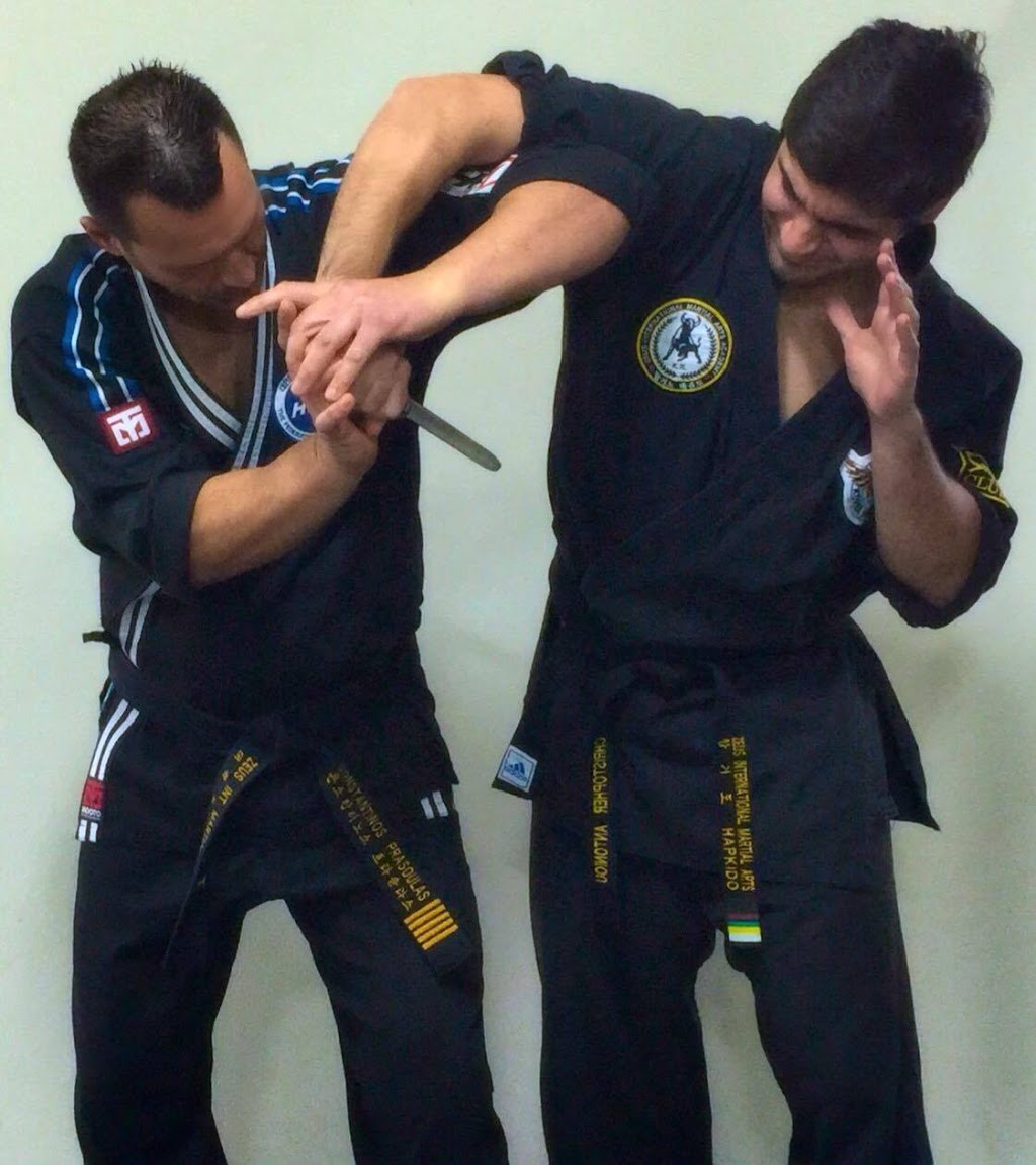 Australian Federation of Hapkido | health | Lv1 Marrickville District Lawn Tennis Club, Livingstone Road, Marrickville, Park, Marrickville NSW 2204, Australia | 0410689735 OR +61 410 689 735