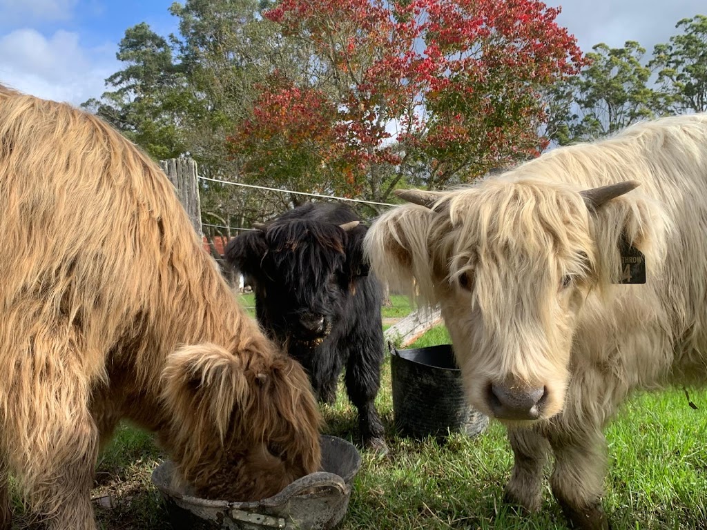 The Riverside Farm Escape Minimbah | 13470 Pacific Hwy, Minimbah NSW 2312, Australia | Phone: 0457 562 910