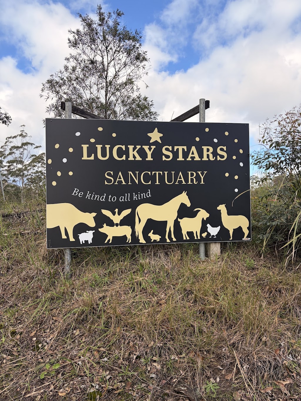 Lucky Stars Sanctuary | 167 Herivels Rd, Wootton NSW 2423, Australia | Phone: 0477 213 385
