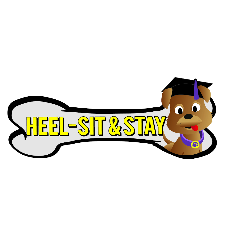 Heel Sit and Stay! Dog Obedience | Elm St, Cooroy QLD 4563, Australia | Phone: 0429 461 606