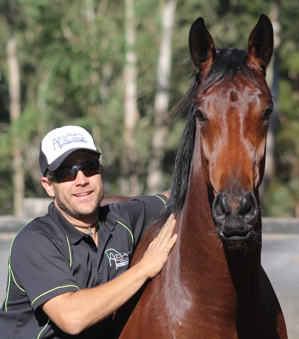Adam Sutton Allround horsemanship | travel agency | Carrington St, Horseshoe Bend NSW 2320, Australia | 0418486081 OR +61 418 486 081