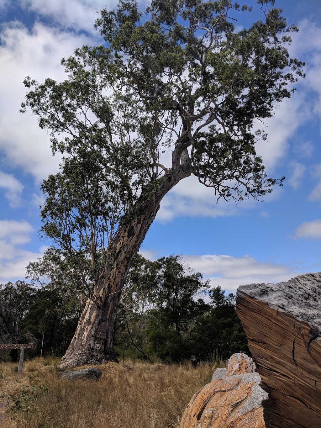 Dergholm State Park | park | Victoria 3312, Australia